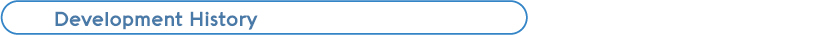 发展历程
