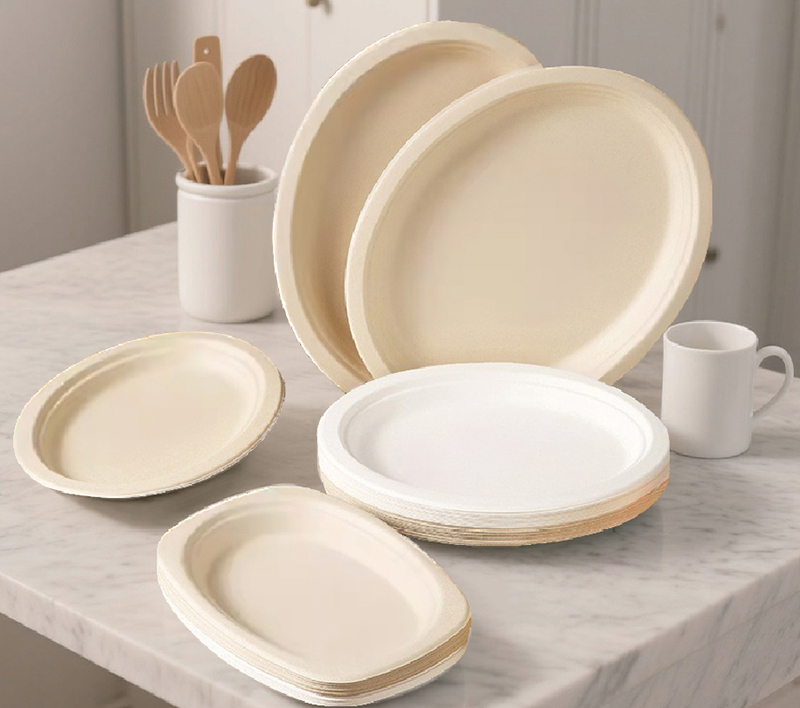 サトウキビ紙 プレ一ト