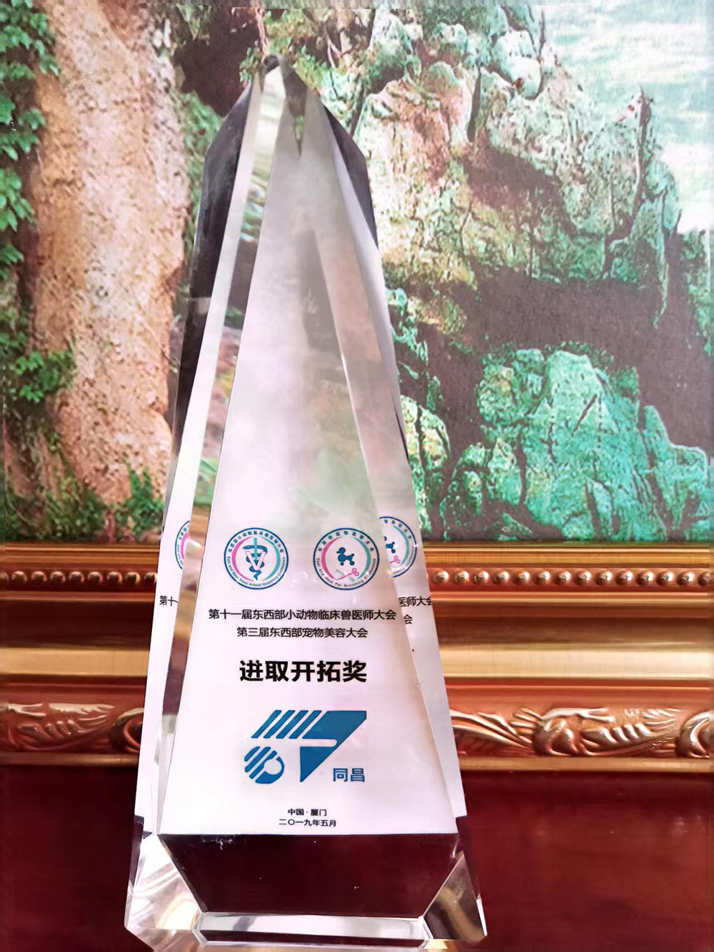 进取开拓奖