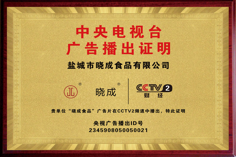 CCTV2广告播出证明