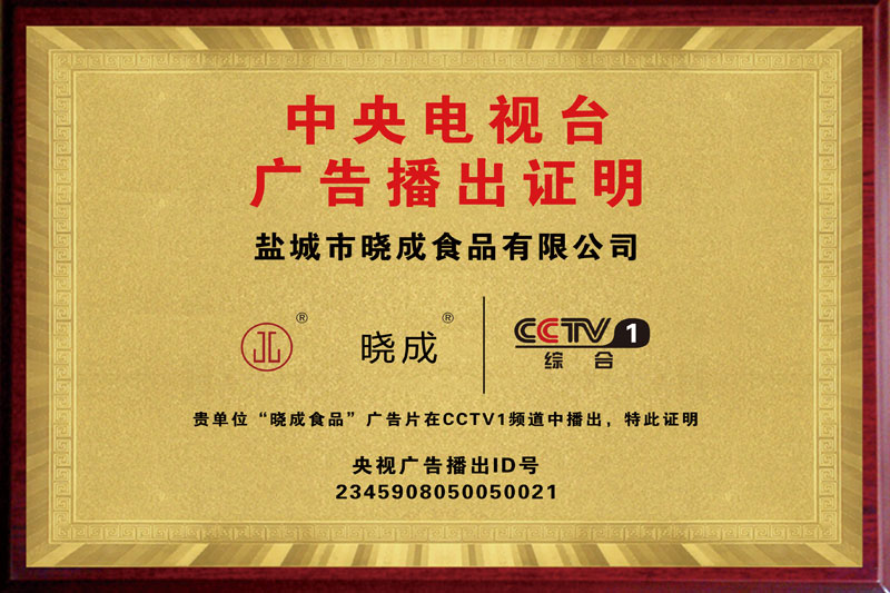 CCTV1广告播出证明